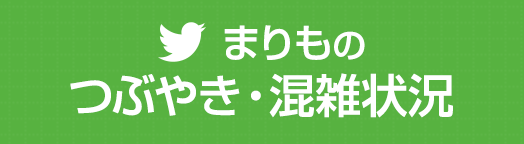 まりものつぶやき・混雑状況